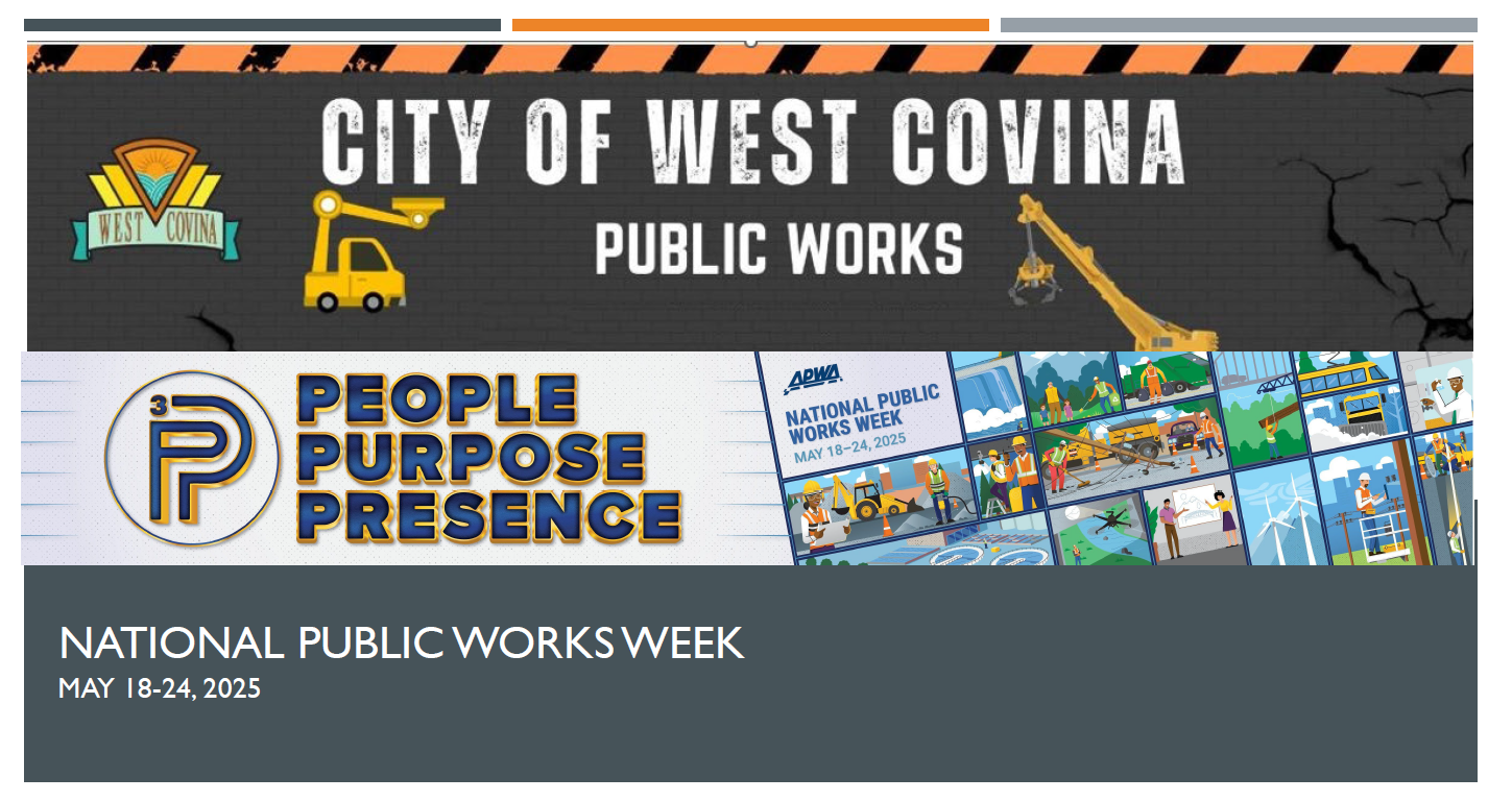 Presentation for Council